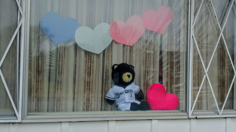 Bear shows support
